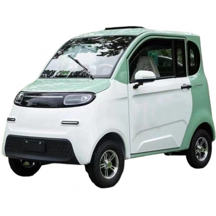 Elektrinis mini automobilis FL-08 1Kw 58AH 60v balta